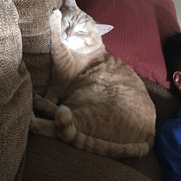 Meet the posher - Picture 8 of 8